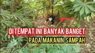 astaghfirullah Mereka Ini Setiap Hari Makan Sampah Lihat Reaksinya Saat Dapat Makanan yang Bersih..!