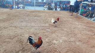 Napalaban nanaman tayo mga idol