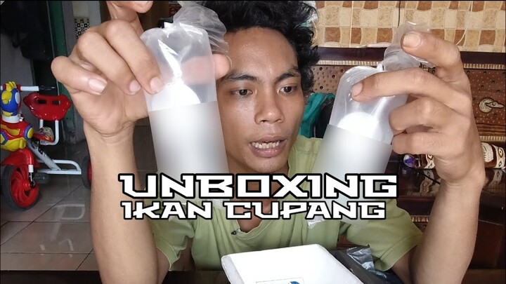 UNBOXING IKAN CUPANG - BETTA FISH