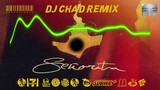 SENORITA - CAMILA CABELLO ( DJ CHAD REMIX )