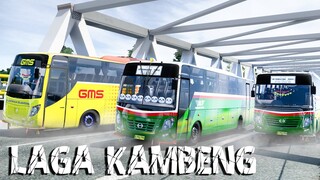 KEJAR-KEJARAN 20 BUS BERUJUNG CEKCOK MAYASARI BAKTI VS GMS