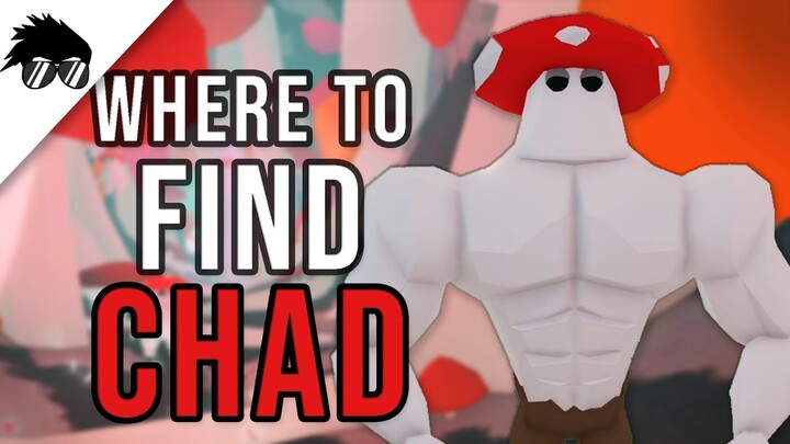 Where is Chad and How to Find Him | Roblox Vesteria