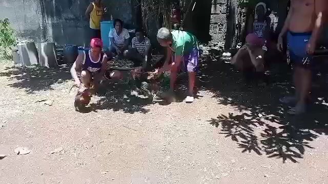 panalo