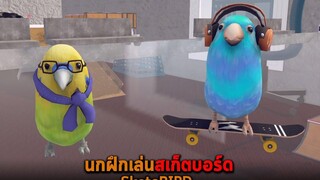 นกฝึกเล่นสเก็ตบอร์ด SkateBIRD