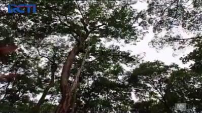 Wiro sableng eps4 ( maut bernyanyi di Pajajaran bag1)