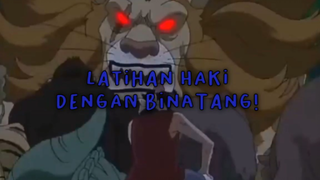 Latihan Haki Dengan Binatang!