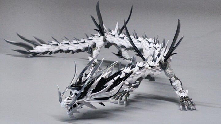 [Model Making] Shenxing Technology, White Dragon Assembly Notes, Repair Instructions! Is your Vajra 