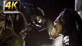 [รีเซ็ตสี 4K] "Predator vs. Alien 2" ลุงหมาป่า ในที่สุดฉันก็มองเห็นคุณได้ชัดเจนแล้ว เตรียมเริ่มการแส