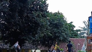volly ball