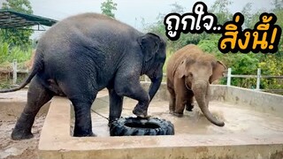2สาวถูกใจสิ่งนี้❗️เอฟซีชอบใจ🤍น่ารักไปหมด