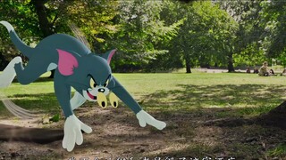 【Chinese subtitles】A childhood classic is back!! The first trailer of the Tom and Jerry movie is rel