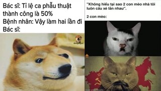 ảnh chế meme thiếu muối #46 || NTM AC