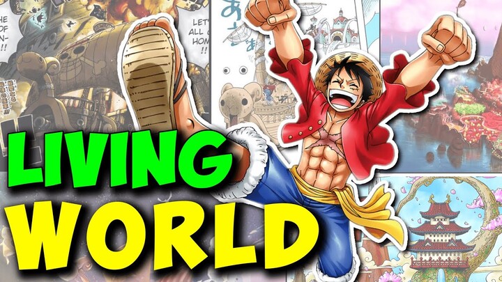 One Piece Analysis: A Living World