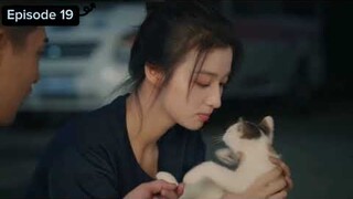 Fireworks of my heart series episode 19 | Sub indo #fyp yang yang wang churan