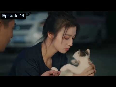 Fireworks of my heart series episode 19 | Sub indo #fyp yang yang wang churan