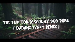 DjDanz Remix -  TIK TOK TOK X SCOOBY DOO PA PA | DANCE MASHUP | TIKTOK VIRAL | FVNKY REMIX |