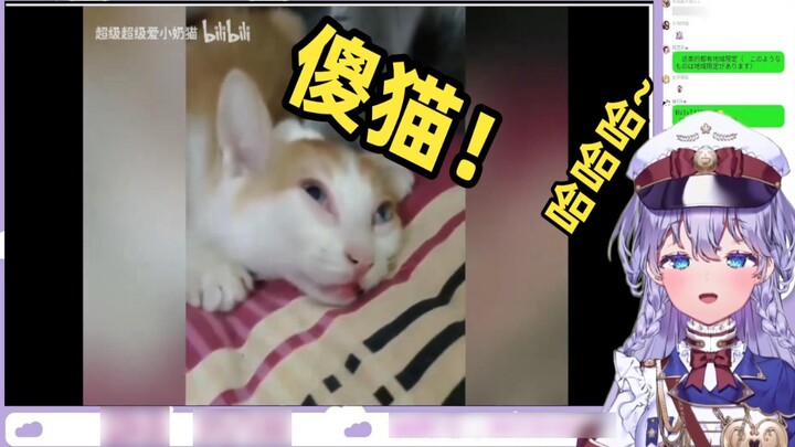 Japanese cute girl is amused by silly cat