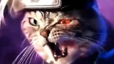 Kucing wibu nih boos😎👍 Kakashi × Kucing || Jedag Jedug anime asli edit sendiri