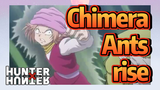 Chimera Ants rise