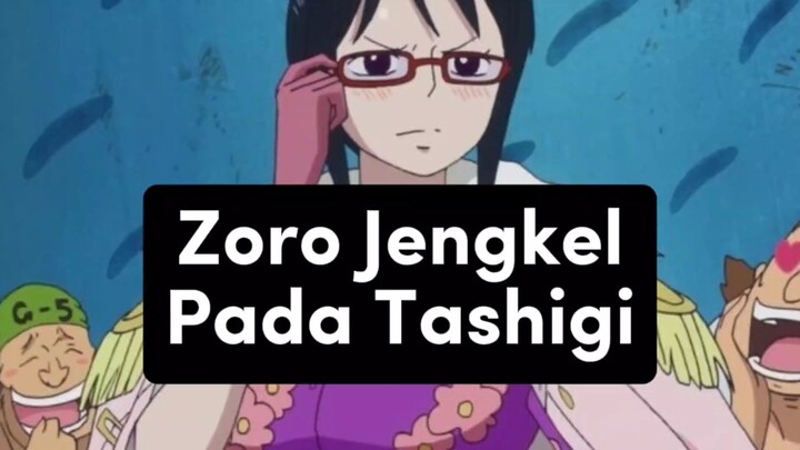 Zoro Jengkel Pada Tashigi