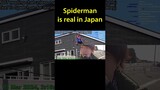 Spiderman is real in Japan