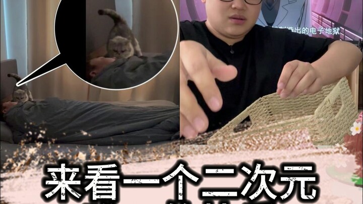 周末的懒觉到底是谁在睡啊