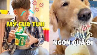 Gâu Đần Family | ĐẢN HOÀNG Ăn Cắp Mỳ Tôm Của PAPA Và Cái Kết Tái Mặt 🤣 Gâu Đần Official