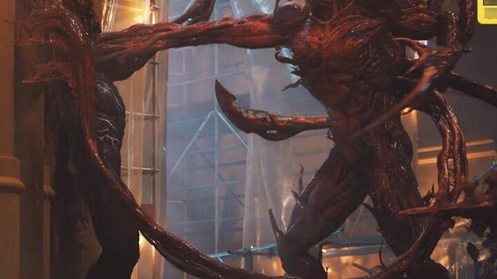 Venom VS Carnage, 4K 60 frame, meskipun mereka semua penjahat, dia lebih baik dalam hal kekuatan.