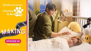 Episode 10 Viu Special | A Good Day to be a Dog | Cha Eun Woo, Park Gyu Young [ENG SUB]