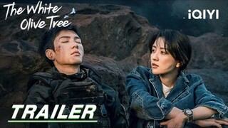 Trailer The White Olive Tree