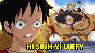 Hi Sinh Vì Luffy | Ngoài Băng Mũ Rơm Thì Ai Là Người Tin Tưởng Luffy Nhất