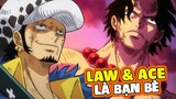 Tiết lộ mối quan hệ của ACE & LAW | BẠN CHƯA BAO GIỜ XEM giả thuyết này! - One Piece