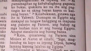 Pang Araw Araw na Talata.               Exodus 8:24-32