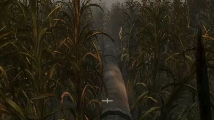 I hate this field - Left 4 Dead 2