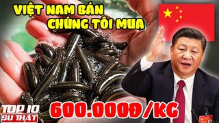 Top 5 Thứ "Phế Thải" Của Việt Nam Được Trung Quốc Tranh Nhau Mua | Top 10 Thú Vị