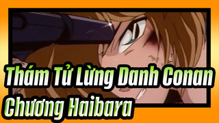 [Thám Tử Lừng Danh Conan] TV176(190)-1 Chương Haibara_G