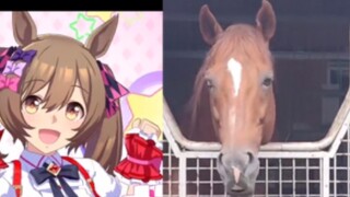 The current Jishaozi VS the previous Eye-catching Flying Eagle