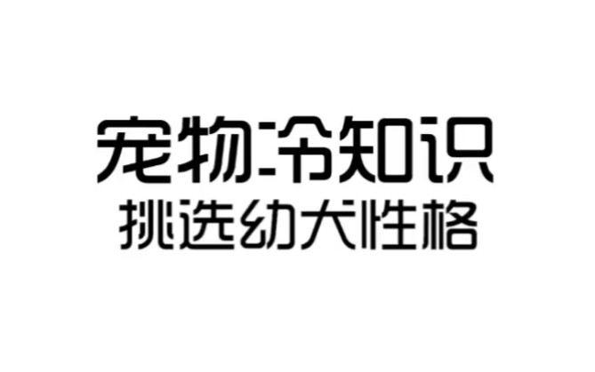 如何挑选幼犬性格？