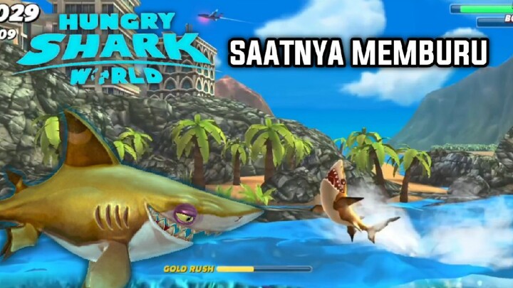 Saatnya memburu!! - hungry shark world