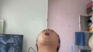 这苍蝇是自动跟踪导弹？