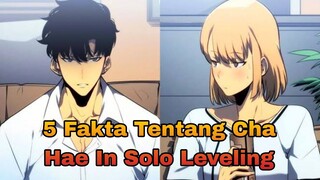 5 Fakta Menarik Hunter Cha Hae In - Solo Leveling