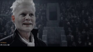 [Grindelwald/GGAD] NATURAL เกิดมาแบบนี้丨จับคู่กับรัศมีอมตะของราชามาร