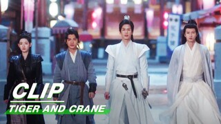 Four People go into the Ghost Market to Investigate the Case | Tiger and Crane EP08 | 虎鹤妖师录 | iQIYI