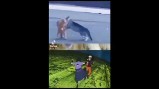 naruto vs sasuke ( phiên bản đời thật )