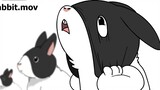Rabbit transformation! 【Animator NCH】