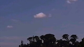 awan awan apa yg enak,awan goreng