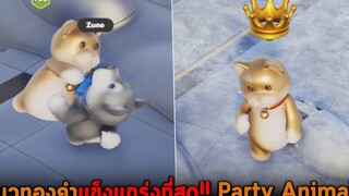 แมวทองคำแข็งแกร่งที่สุด Party Animals