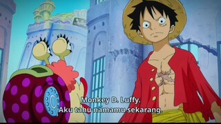 Luffy dunia baru