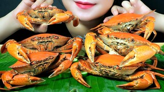 ASMR BOILED DOUBLE SKIN CRABS (DOTTED CRAB) CRACKLING CRUNCHY EATING SOUNDS | LINH-ASMR