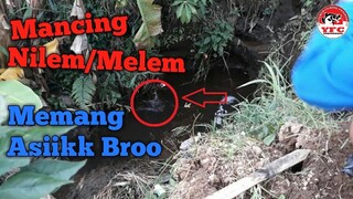 Mancing Nilem/Melem Di Selokan yang Selalu Menyenangkan